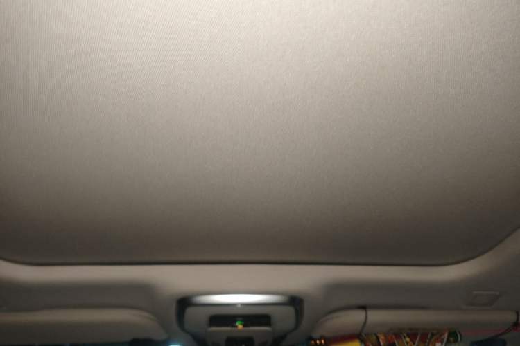 Used Hongqi H9 2020 2.0T Smart Connect Flagship Edition Headliner