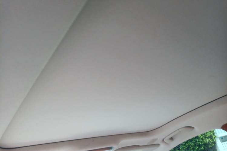 Used Hongqi H9 2020 2.0T Smart Connect Flagship Edition Headliner