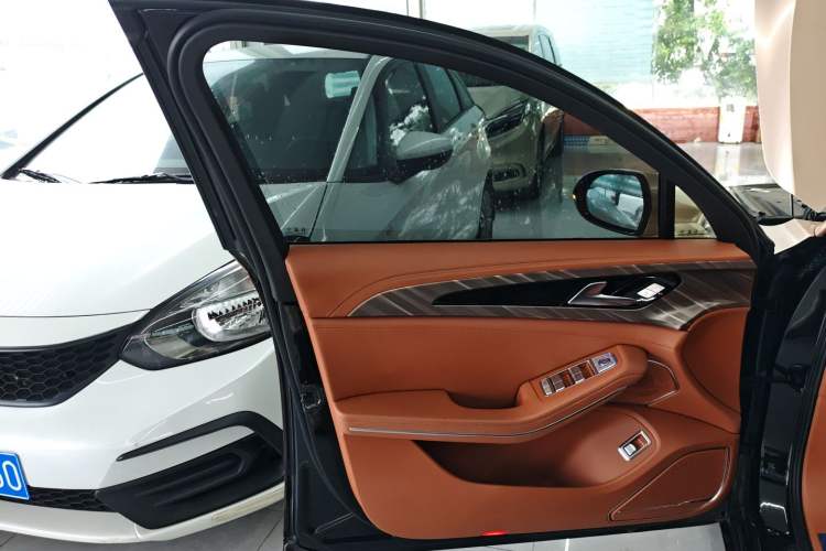 Used Hongqi H9 2020 2.0T Smart Connect Flagship Edition Left Front Door Interior