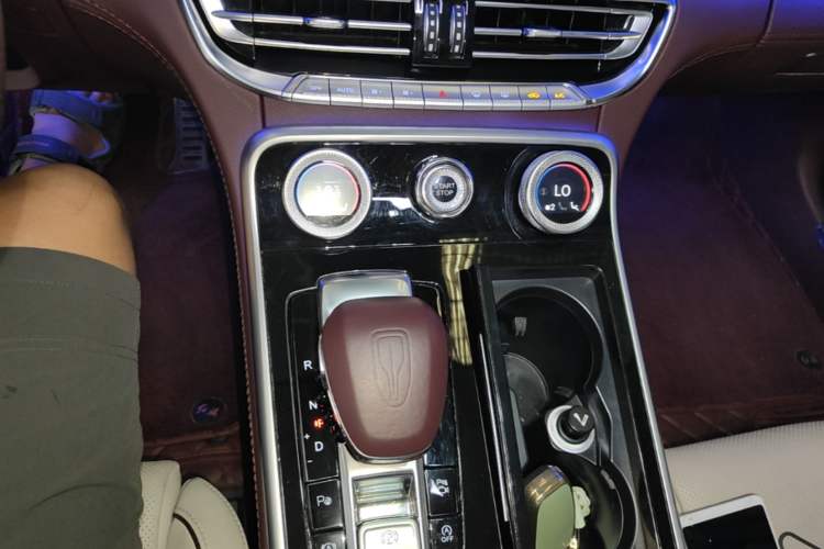 Used Hongqi H9 2020 2.0T Smart Connect Flagship Edition Gear Lever