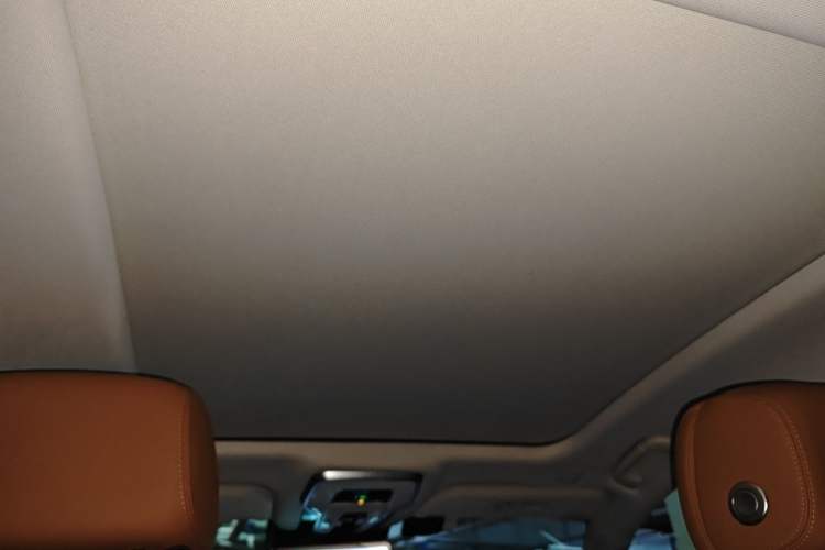 Used Hongqi H9 2020 2.0T Smart Connect Flagship Edition Headliner