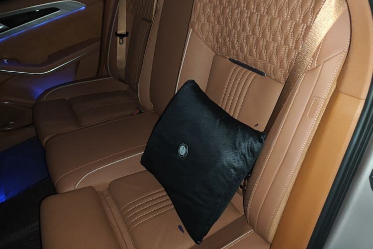 Used Hongqi H9 2020 2.0T Smart Connect Flagship Edition Left Rear Seat