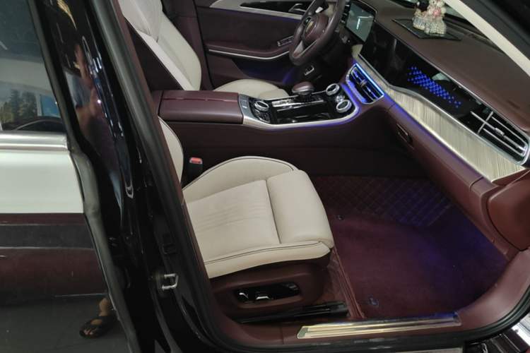 Used Hongqi H9 2020 2.0T Smart Connect Flagship Edition Right Front Seat