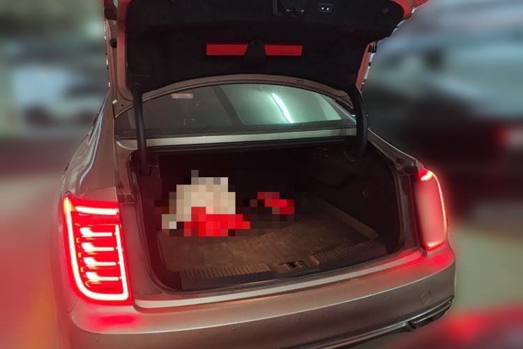 Used Hongqi H9 2020 2.0T Smart Connect Flagship Edition Trunk