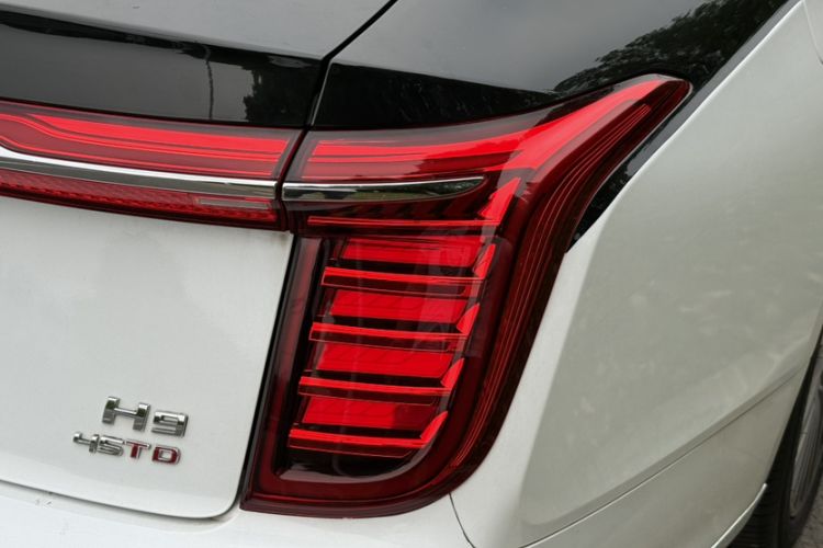 Used Hongqi H9 2020 2.0T Smart Connect Flagship Edition Exterior 2