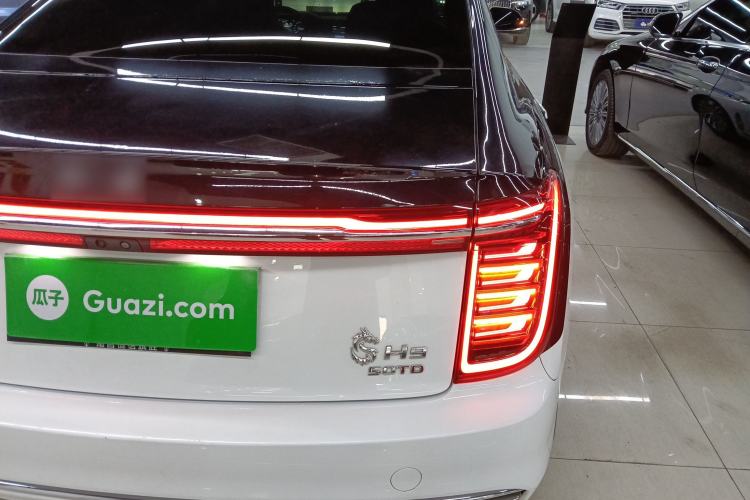 Used Hongqi H9 2020 3.0T Smart Connect Flagship Four-Seat Version Exterior 6