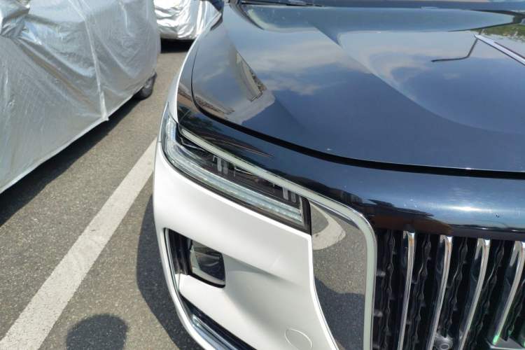Used Hongqi H9 2020 2.0T Smart Connect Flagship Edition Exterior 6