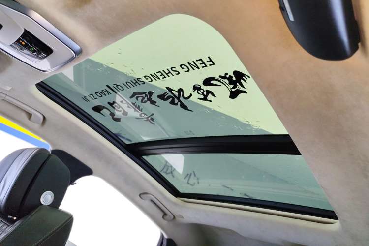 Used Hongqi H9 2020 3.0T Smart Connect Flagship Four-Seat Version Headliner