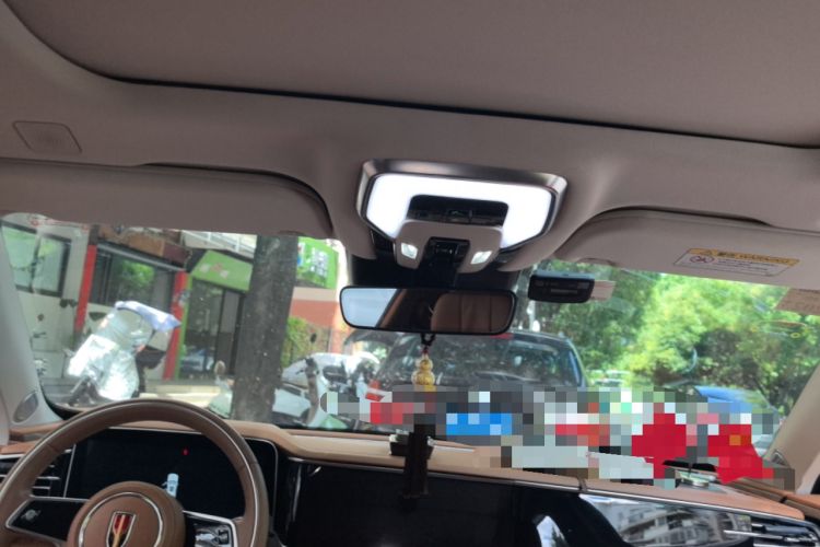 Used Hongqi H9 2020 2.0T Smart Connect Flagship Edition Headliner