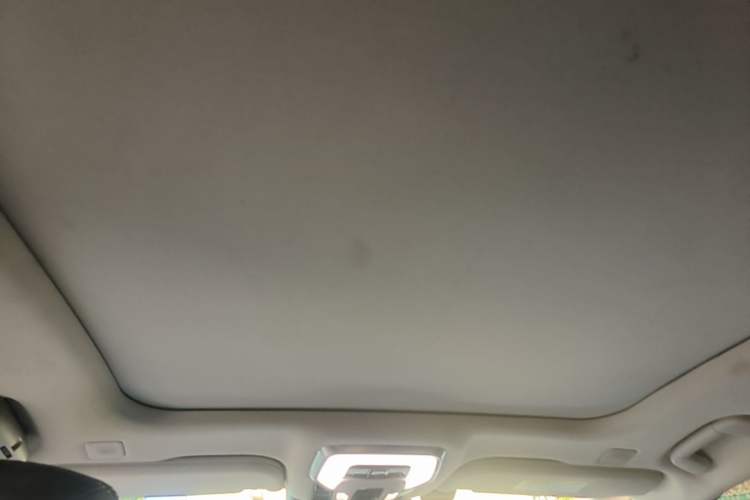 Used Hongqi H9 2020 3.0T Smart Connect Flagship Edition Headliner
