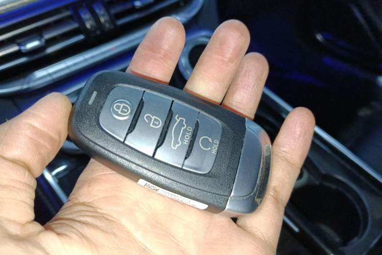 Used Hongqi H9 2020 3.0T Smart Connect Flagship Four-Seat Version Interior 1