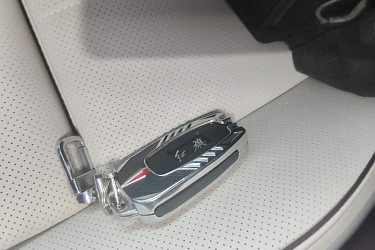 Used Hongqi H9 2020 3.0T Smart Connect Flagship Four-Seat Version Interior 1