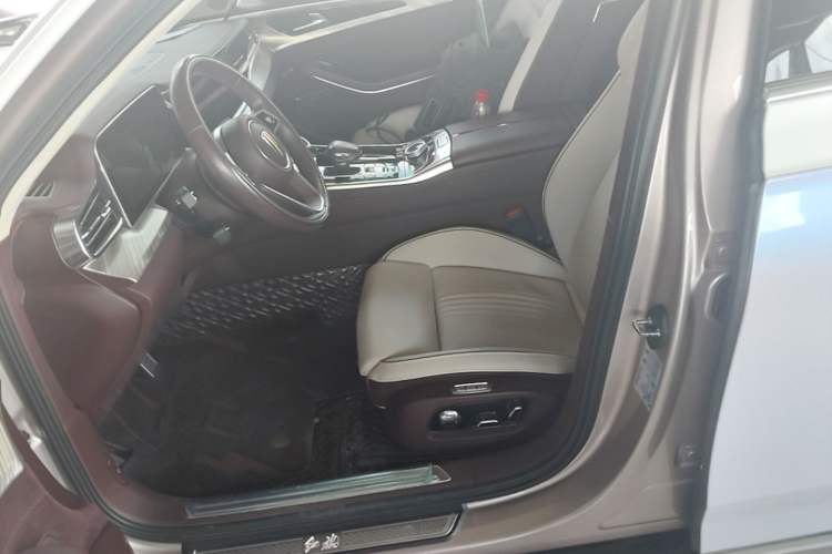 Used Hongqi H9 2020 3.0T Smart Connect Flagship Four-Seat Version Left Front Seat