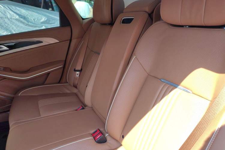 Used Hongqi H9 2020 2.0T Smart Connect Flagship Edition Left Rear Seat
