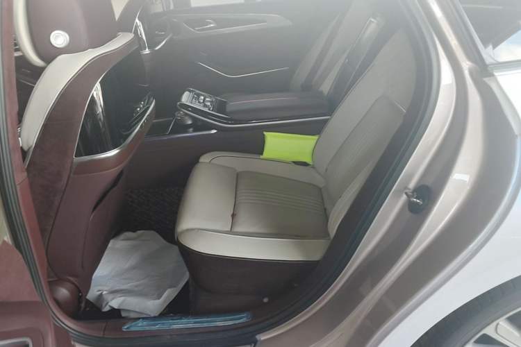 Used Hongqi H9 2020 3.0T Smart Connect Flagship Four-Seat Version Left Rear Seat