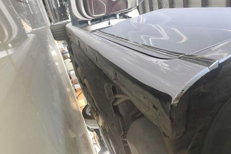 Used Hongqi H9 2020 3.0T Smart Connect Flagship Four-Seat Version Left Side Sill