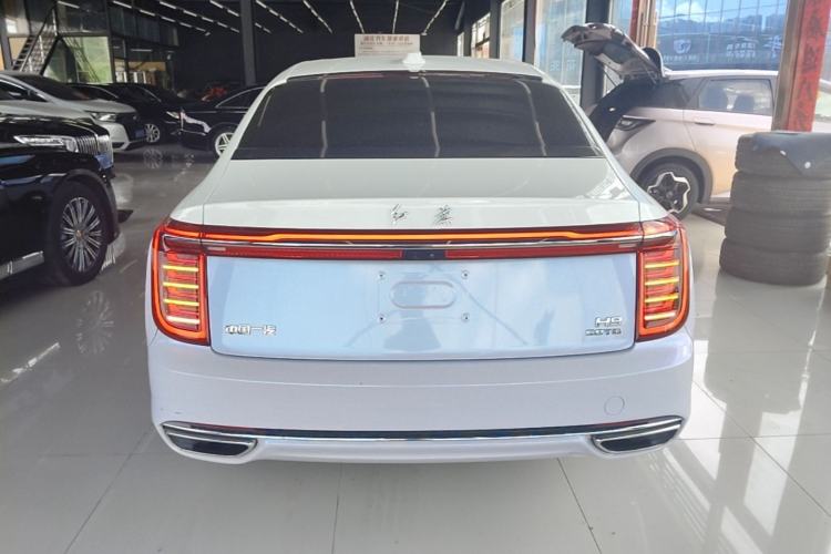 Used Hongqi H9 2020 3.0T Smart Connect Flagship Four-Seat Version Rear