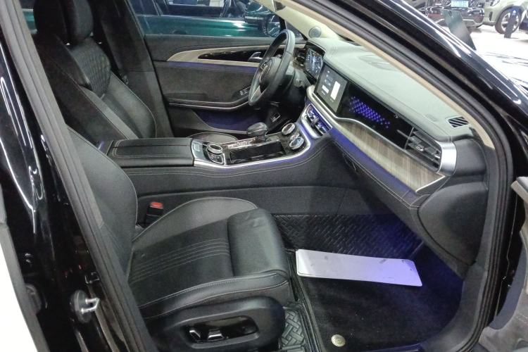Used Hongqi H9 2020 3.0T Smart Connect Flagship Four-Seat Version Right Front Seat