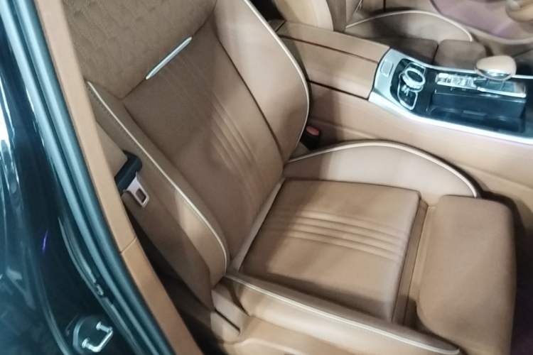 Used Hongqi H9 2020 Revised Version 2.0T Smart Connect Flagship Edition Right Front Seat