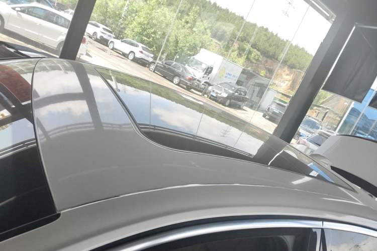 Used Hongqi H9 2020 3.0T Smart Connect Flagship Four-Seat Version Roof