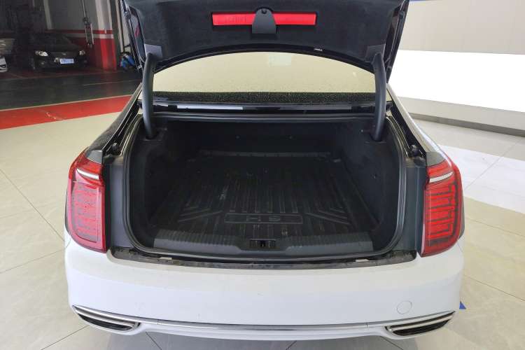 Used Hongqi H9 2020 3.0T Smart Connect Flagship Four-Seat Version Trunk