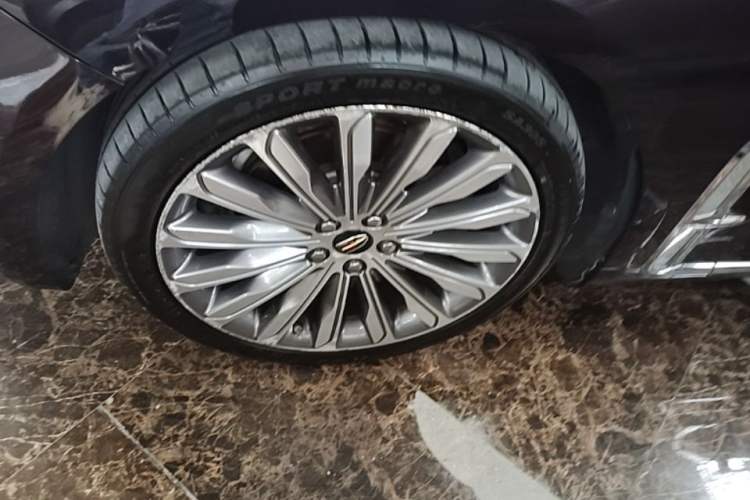 Used Hongqi H9 2020 3.0T Smart Connect Flagship Four-Seat Version Exterior 4