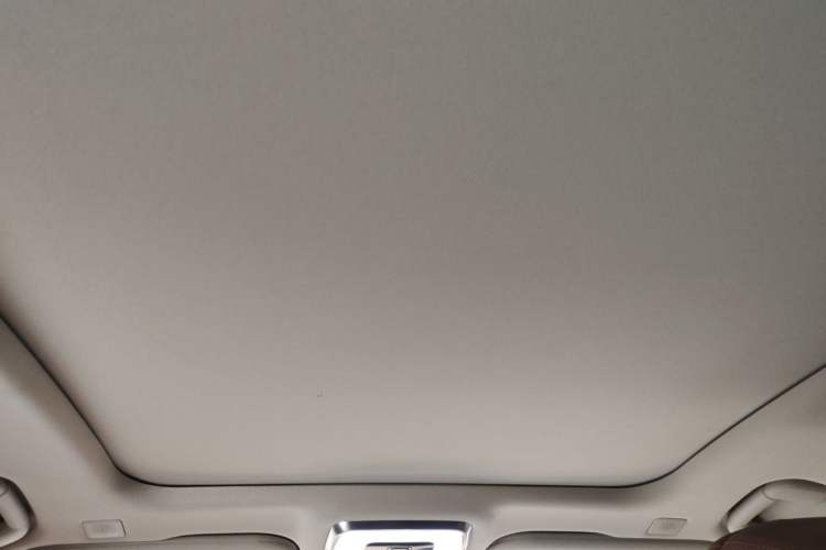 Used Hongqi H9 2020 3.0T Smart Connect Flagship Edition Headliner