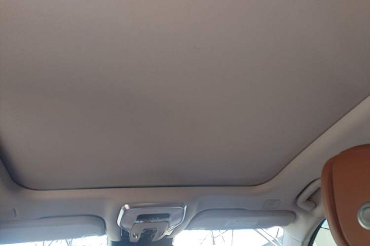 Used Hongqi H9 2020 2.0T Smart Connect Flagship Edition Headliner