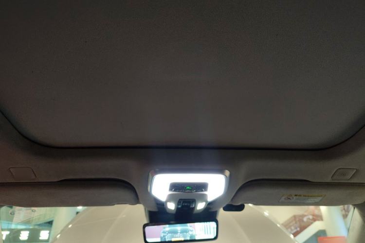 Used Hongqi H9 2020 3.0T Smart Connect Flagship Four-Seat Version Headliner