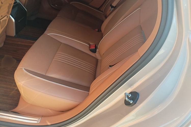 Used Hongqi H9 2020 2.0T Smart Connect Flagship Edition Left Rear Seat