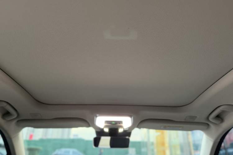 Used Hongqi H9 2021 2.5T Executive Version Headliner