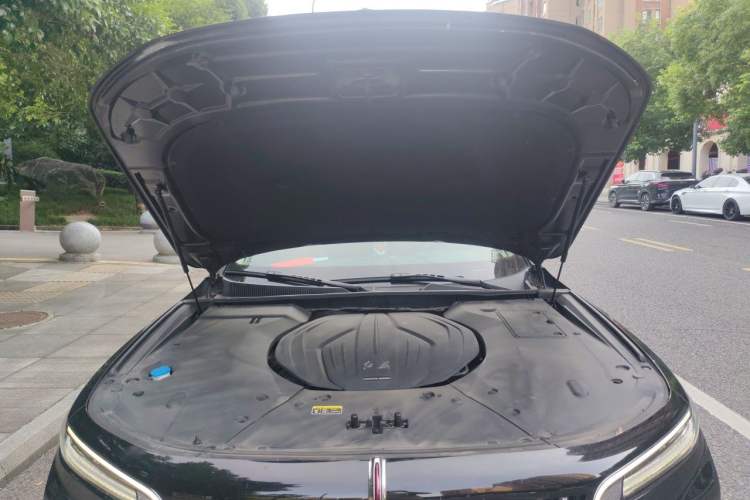 Used Hongqi H9 2022 2.0T Smart Connect Flagship Edition Engine Bay