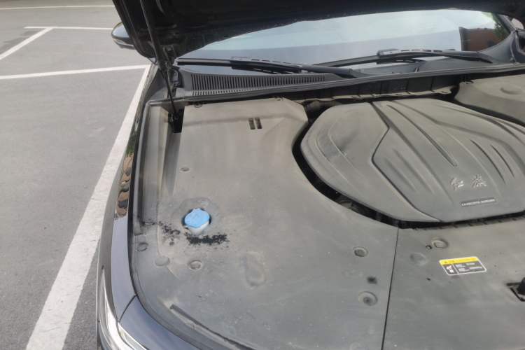 Used Hongqi H9 2022 2.0T Smart Connect Flagship Edition Engine Bay Right