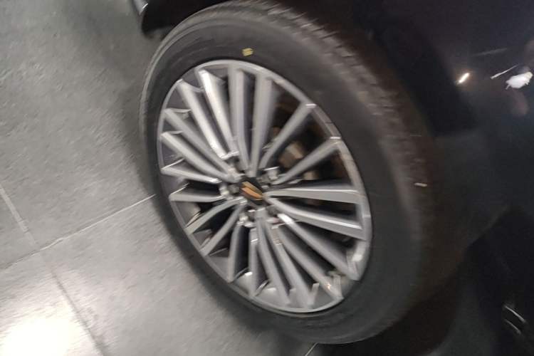 Used Hongqi H9 2022 2.0T Smart Connect Flagship Edition Exterior 5