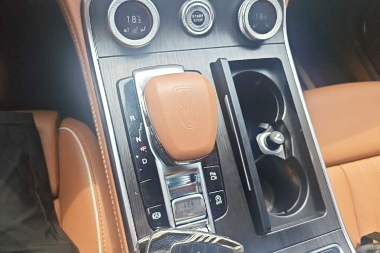 Used Hongqi H9 2022 2.0T Smart Connect Flagship Edition Gear Lever