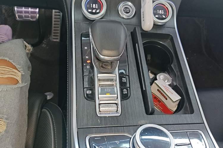 Used Hongqi H9 2022 2.0T Smart Connect Flagship Edition Gear Lever