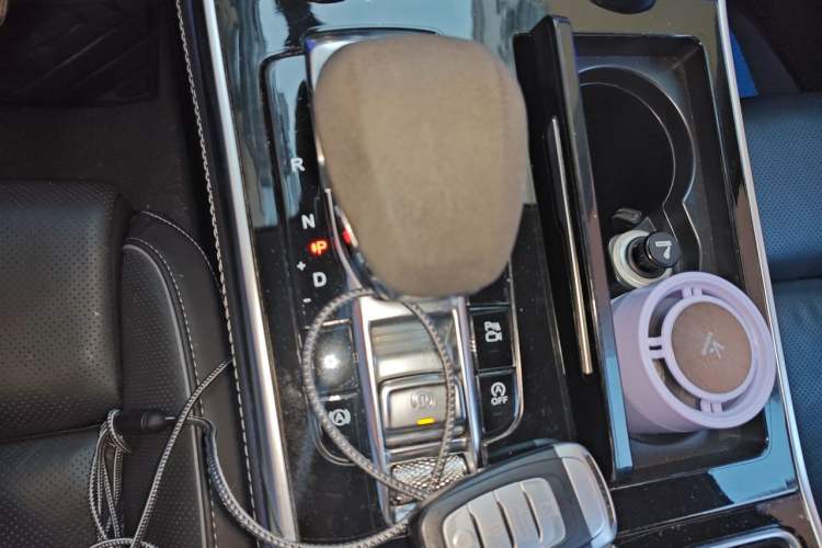 Used Hongqi H9 2022 2.0T Smart Connect Flagship Edition Gear Lever