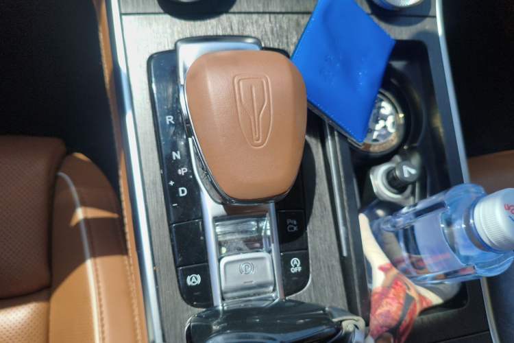 Used Hongqi H9 2022 2.0T Smart Connect Flagship Edition Gear Lever