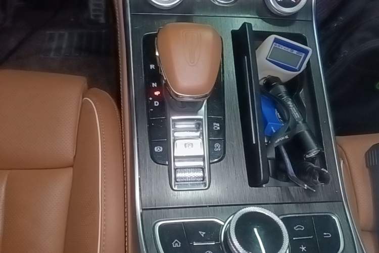 Used Hongqi H9 2022 2.0T Smart Connect Flagship Edition Gear Lever