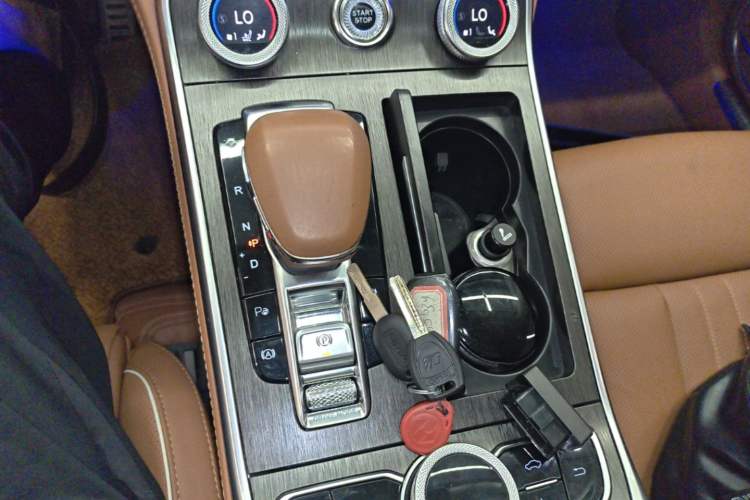 Used Hongqi H9 2022 2.0T Smart Connect Flagship Edition Gear Lever