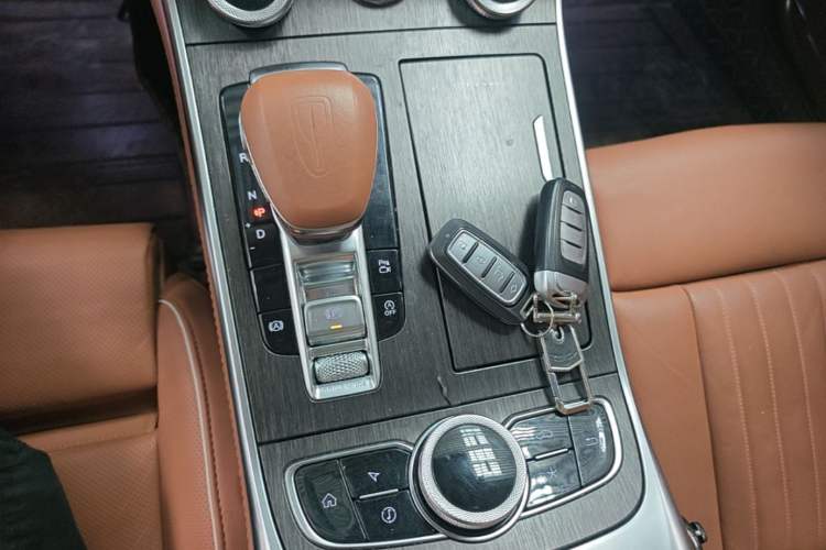 Used Hongqi H9 2022 2.0T Smart Connect Flagship Edition Gear Lever