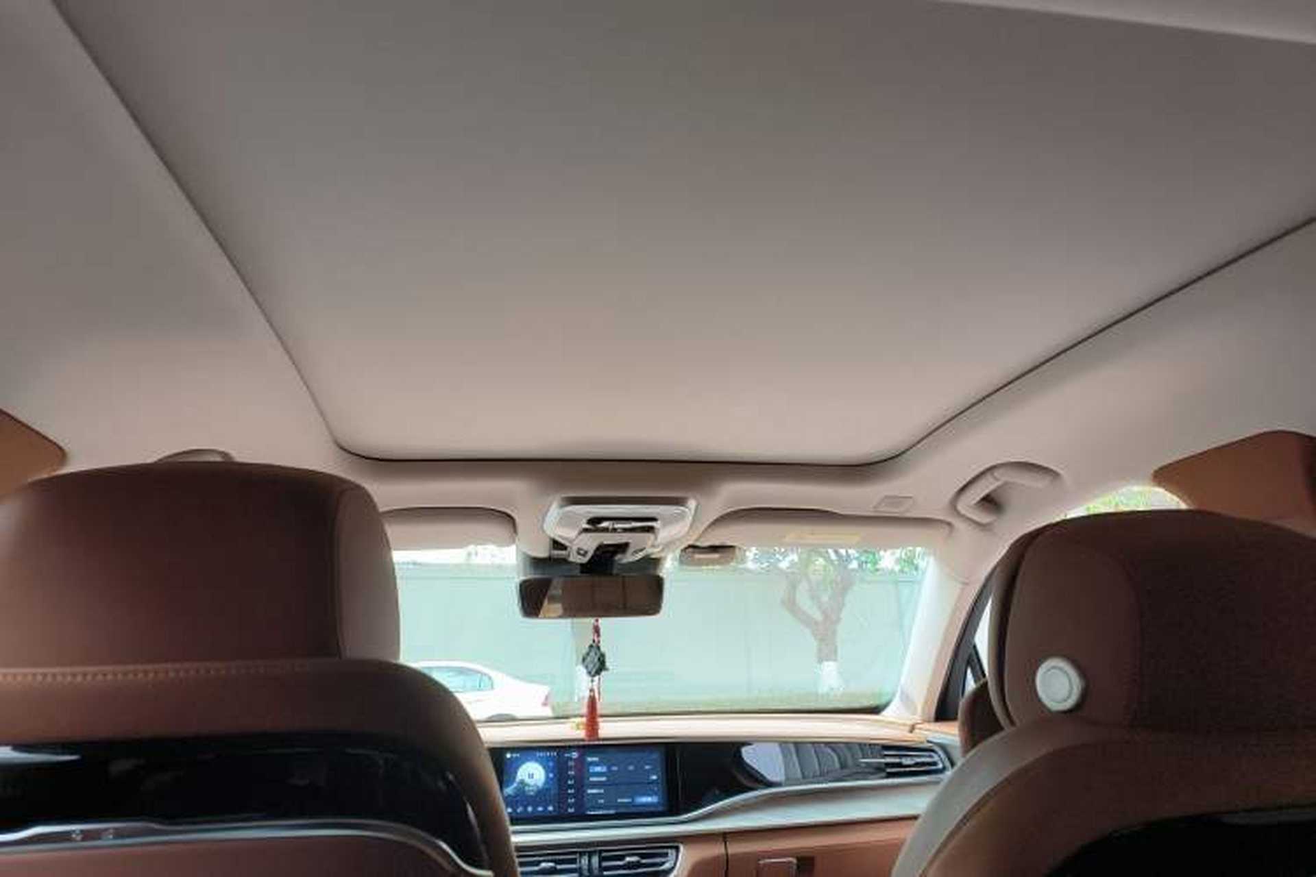 Used Hongqi H9 2022 2.0T Smart Connect Flagship Edition Headliner