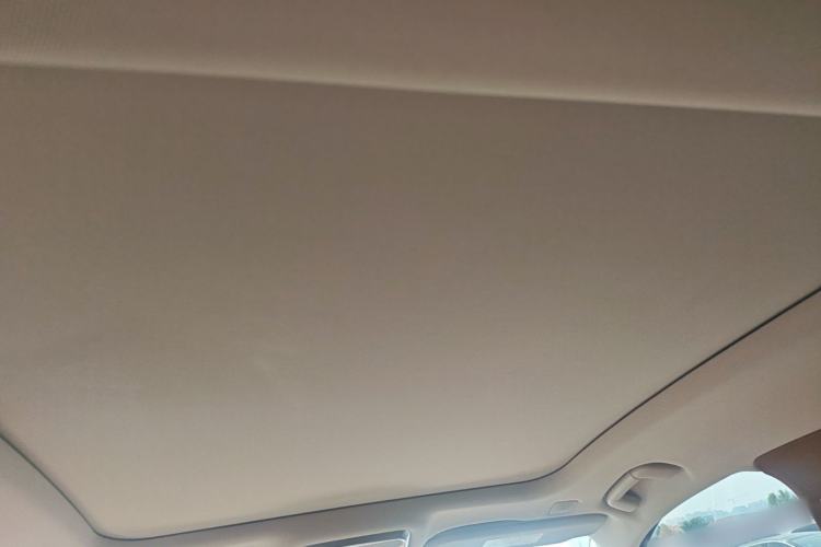 Used Hongqi H9 2022 2.0T Smart Connect Flagship Edition Headliner