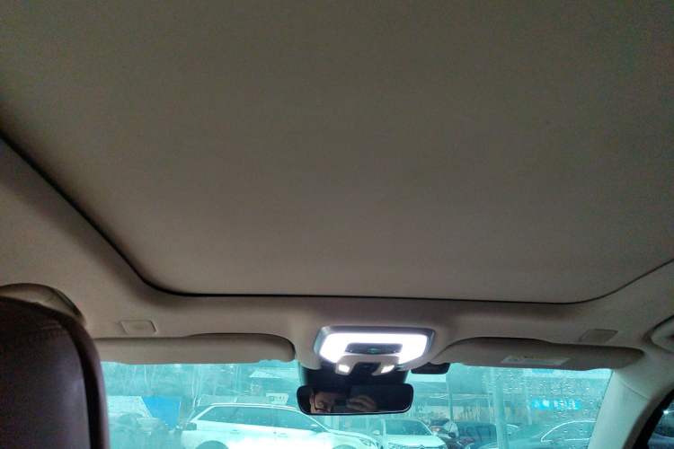 Used Hongqi H9 2022 2.0T Smart Connect Flagship Edition Headliner