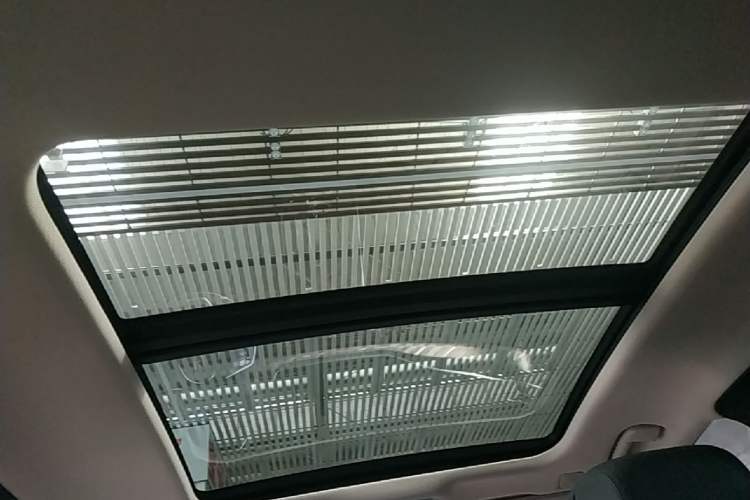 Used Hongqi H9 2022 2.0T Smart Connect Flagship Edition Headliner