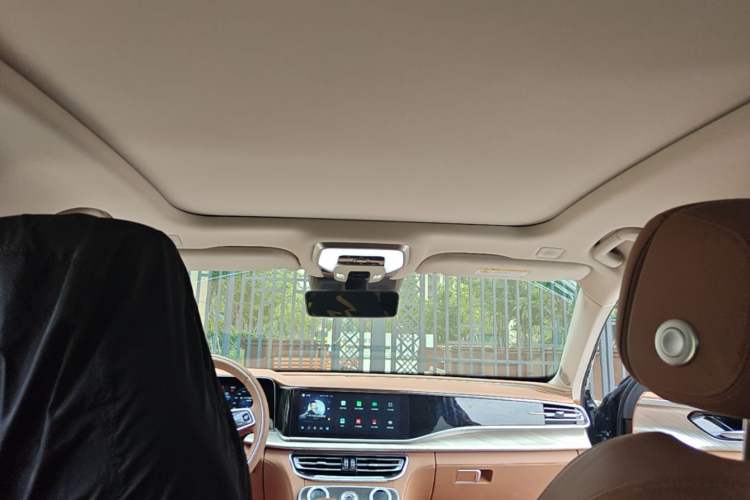 Used Hongqi H9 2022 2.0T Smart Connect Flagship Edition Headliner