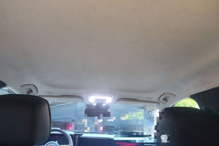 Used Hongqi H9 2022 3.0T H9+ Premium Custom Edition Headliner