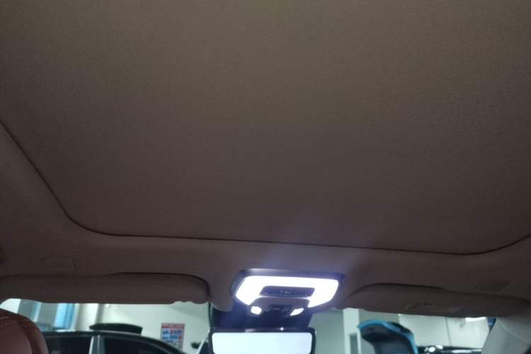 Used Hongqi H9 2022 2.0T Smart Connect Flagship Edition Headliner