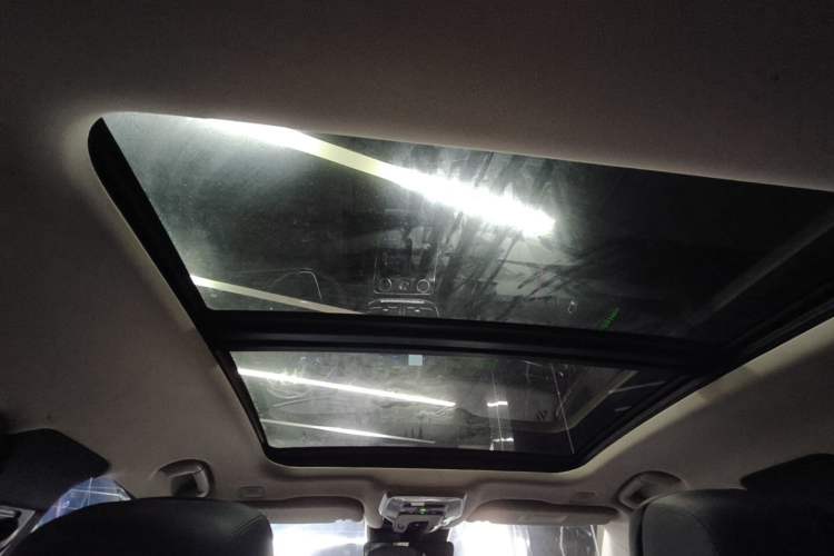 Used Hongqi H9 2022 2.0T Smart Connect Flagship Edition Headliner