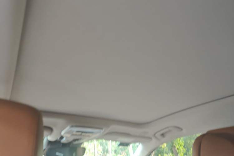 Used Hongqi H9 2022 2.0T Smart Connect Flagship Edition Headliner